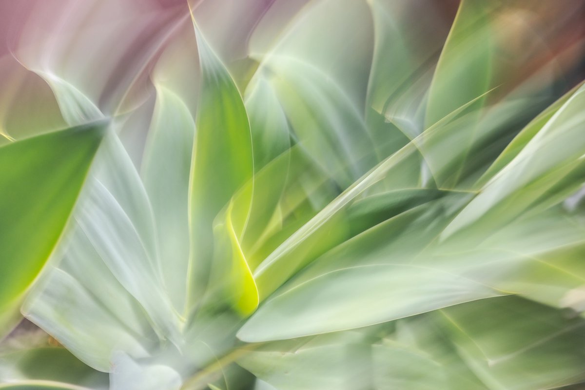 Lucas Morates tweet media