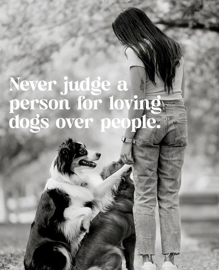 Dog Lovers (@doglovers03) on Twitter photo 