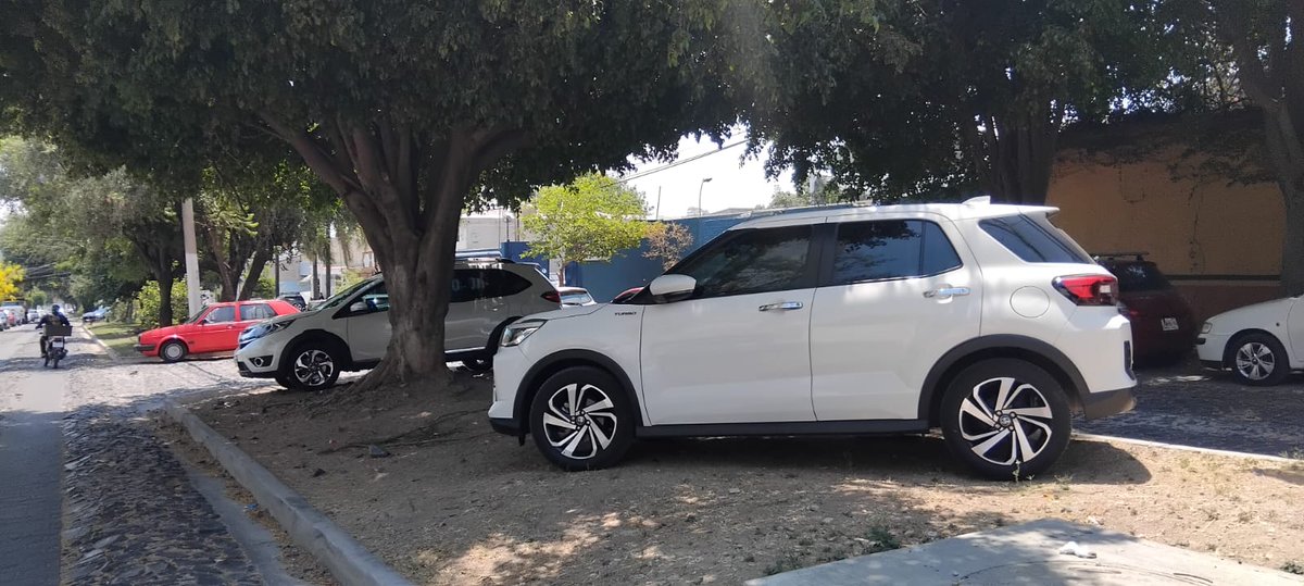 LiviValera's tweet photo. @MovilidadZap @JaliscoVial hay autos estacionados sobre el camellón frente al @smashpadelclubZapopa en Ciudad Granja, en Laureles 179 entre Cipreses y Paraísos. Cada fin es lo mismo! https://t.co/KdHQHiPWmT