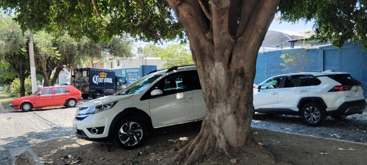 LiviValera's tweet photo. @MovilidadZap @JaliscoVial hay autos estacionados sobre el camellón frente al @smashpadelclubZapopa en Ciudad Granja, en Laureles 179 entre Cipreses y Paraísos. Cada fin es lo mismo! https://t.co/KdHQHiPWmT