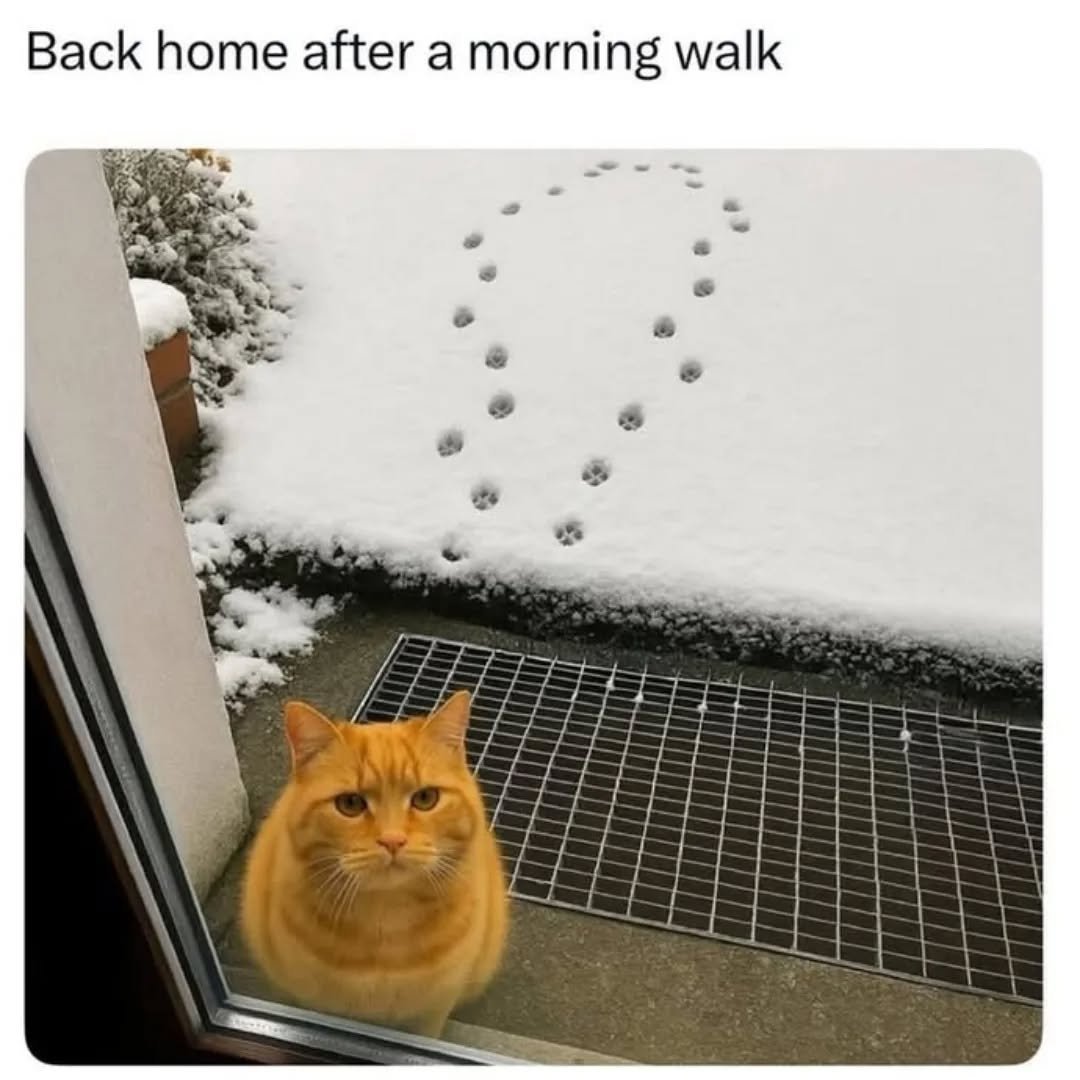 catshealdeprsn tweet picture