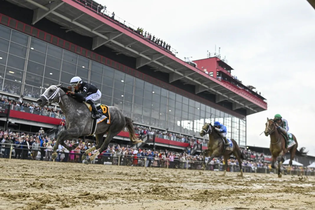 blindadosalas1's tweet photo. #Hipismo
¡ATENCIÓN! #PostTime para el #Preakness150
7:01 PM (ET, Hora de Venezuela) 👇 https://t.co/POEIweTUbi