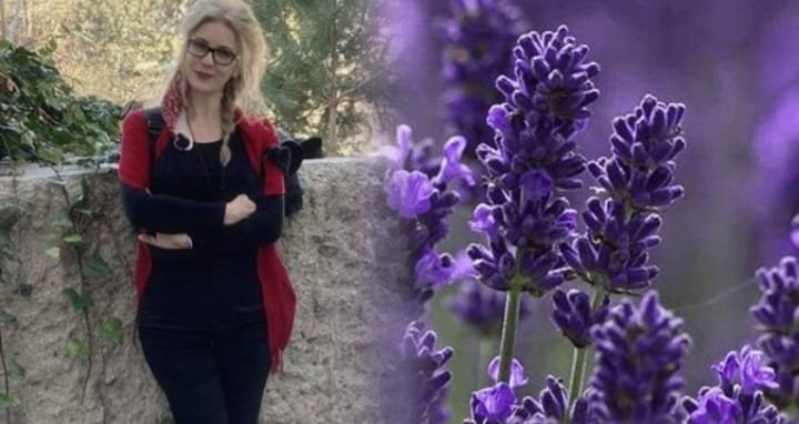 Yine yeni yeniden 

"Mor çiçekli dal gibiydim 
Bahar vaktinde kırıldım "