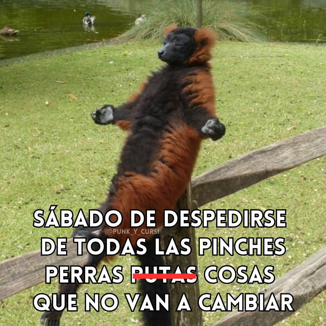 🙏🏻🙏🏻🙏🏻🙏🏻