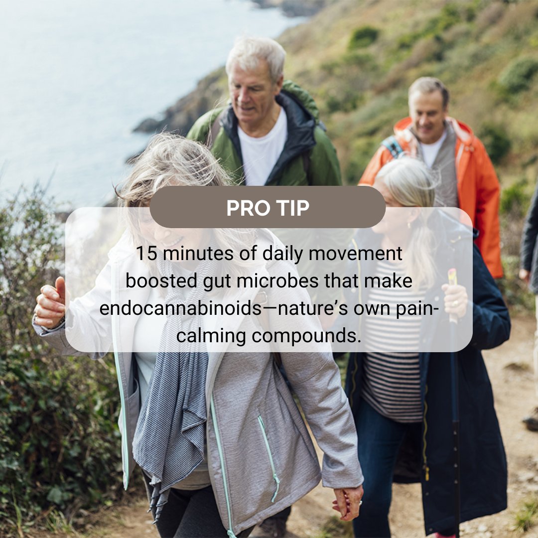 APSWellness's tweet image. Move 15 mins, spark your body’s “feel-good” chemistry and soothe hidden inflammation 🔄 Read more inside. #MoveDaily #Thrivein2025 ideafit.com/why-exercise-r…