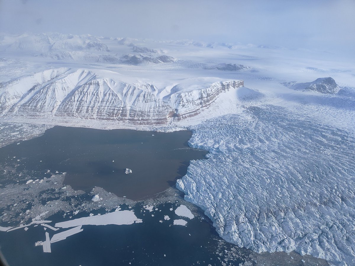 渡辺佑基 Yuuki Watanabe tweet media