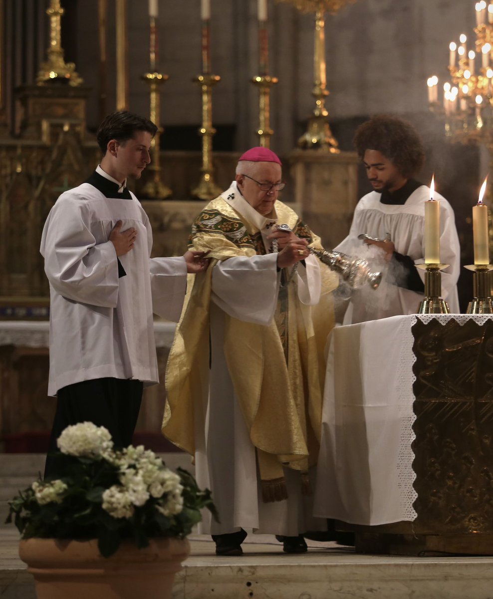m100s_aw's tweet photo. La digne et magnifique liturgie catholique  🇻🇦 https://t.co/zyysJoAzEH