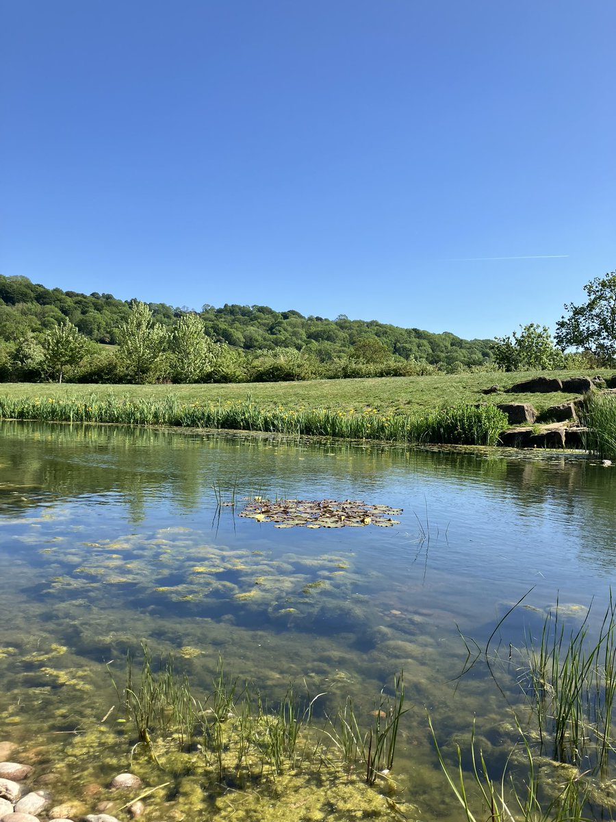 Neil Cavell tweet media