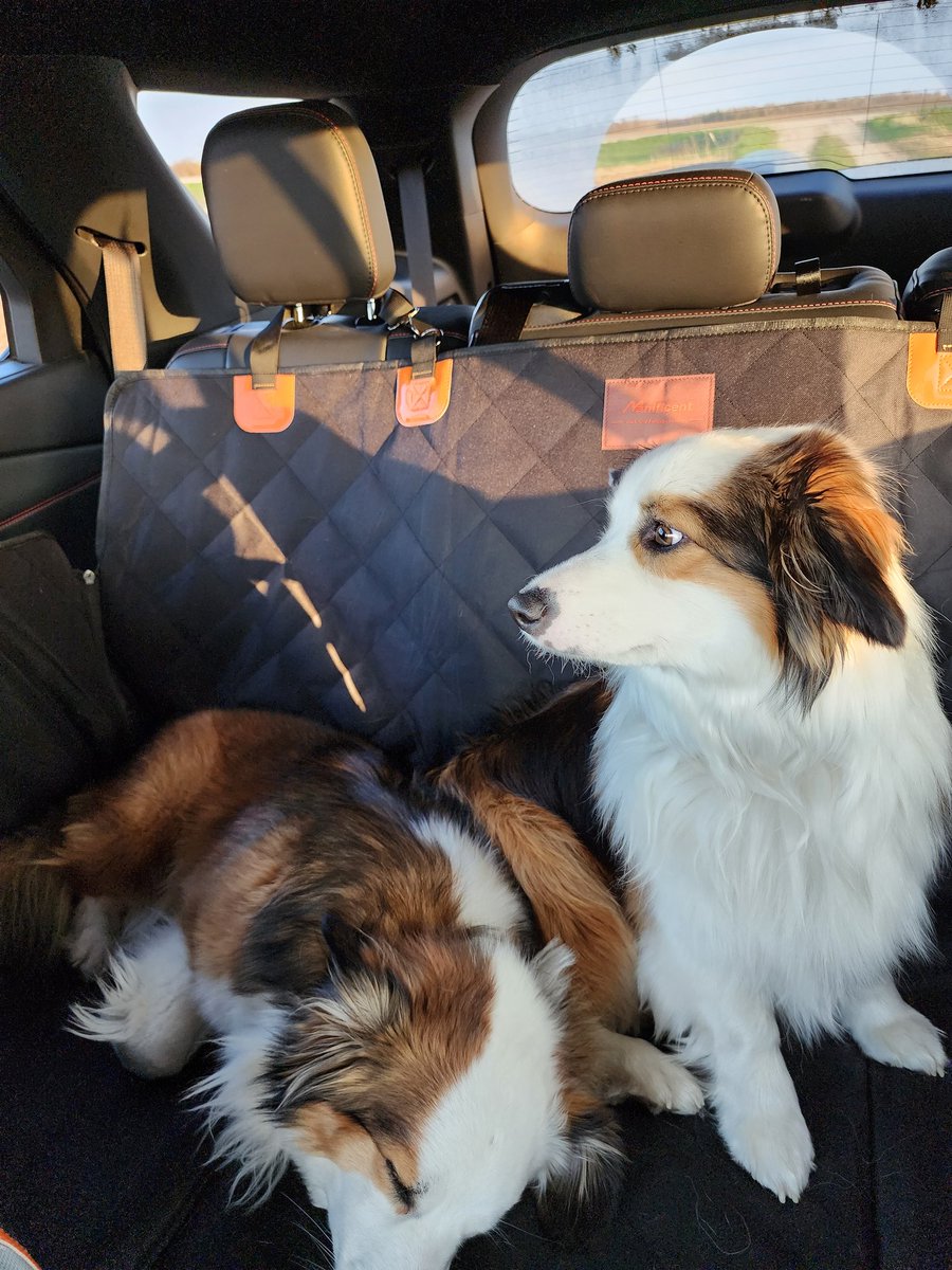 A few spring shots! Prep, planting, and the meal delivery crew were hard at it over the last number of days.  More to come from these fine folks 😉 <a href="/Shawridgefarm/">Shawn Schill 🇨🇦🇨🇦</a>