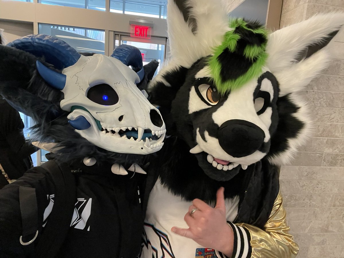 RIOT 🔜 Furrydelphia tweet media