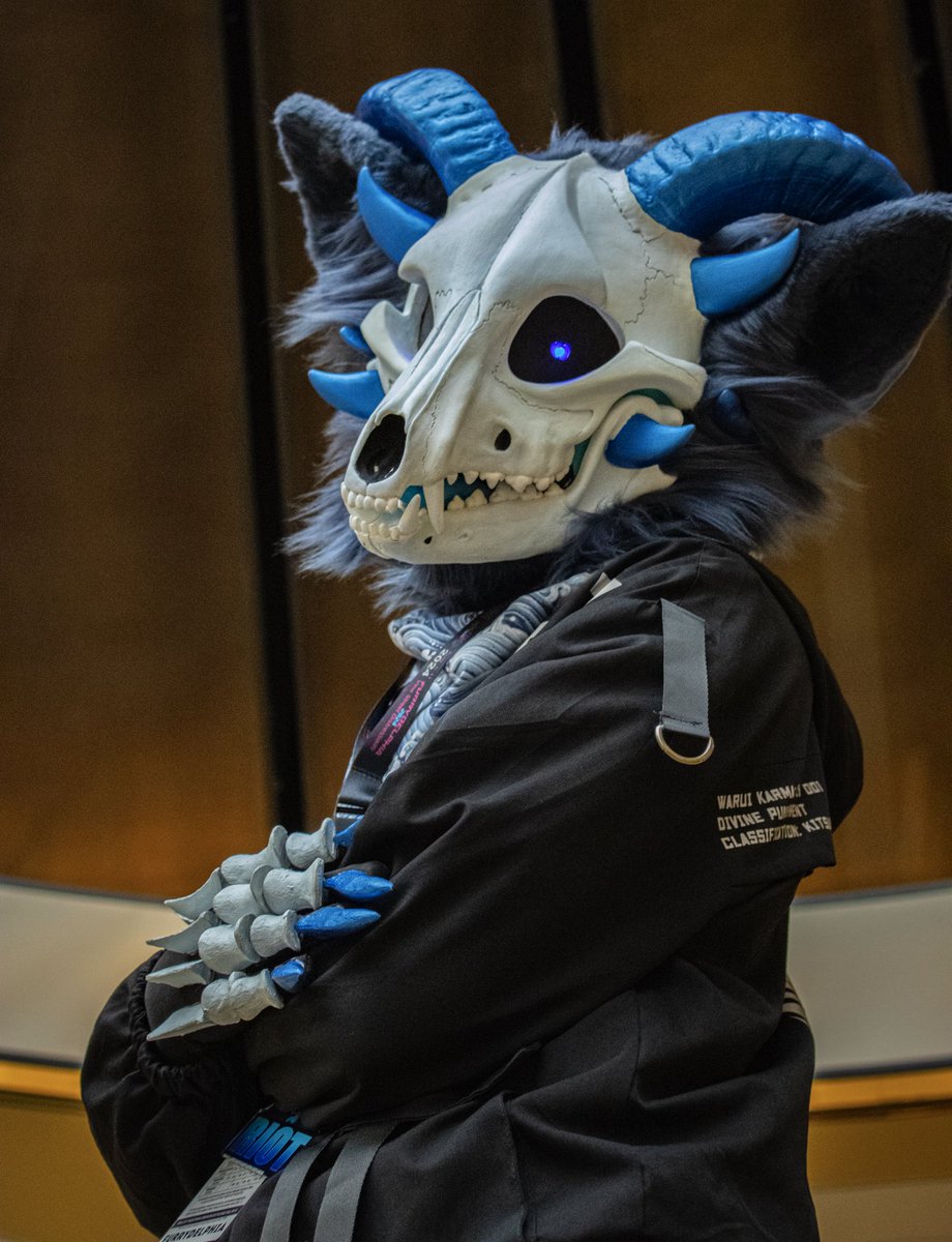 RIOT 🔜 Furrydelphia tweet media