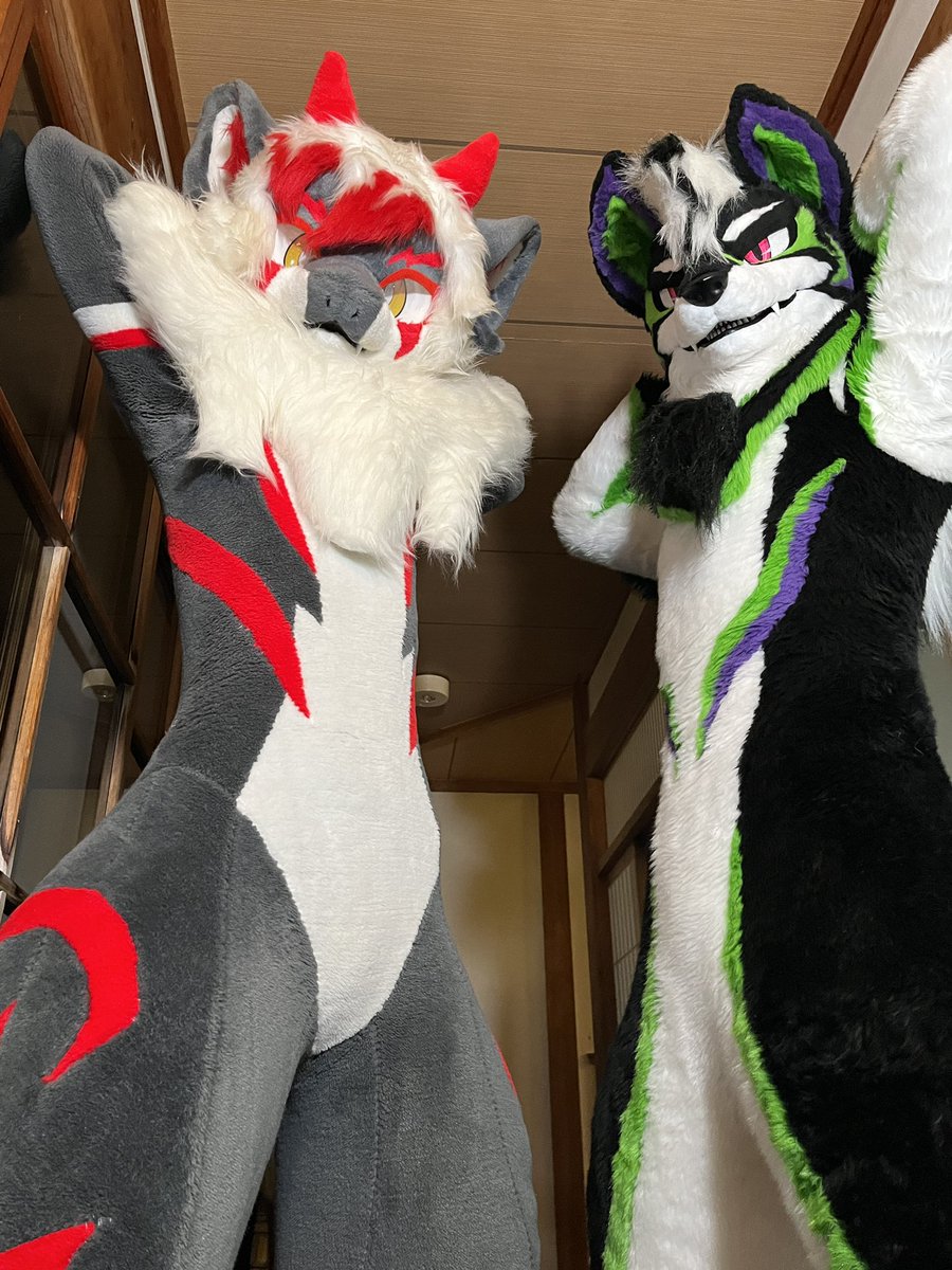 もなか (@jund_dragon) on Twitter photo #旭高原オフ
この見下ろしは犯罪級ですね… #旭高原オフ
この見下ろしは犯罪級ですね…