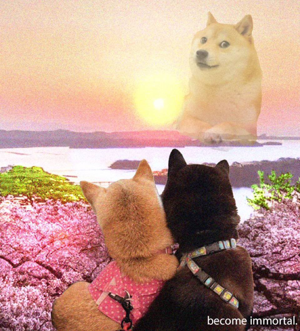 defi_theway's tweet photo. @Gate_io $COCORO @CocoroBlackShib the Dark Shiba signalling to the market 

https://t.co/CA5Mmikp9f

https://t.co/THdWSbHy55 https://t.co/tXNTodskcQ