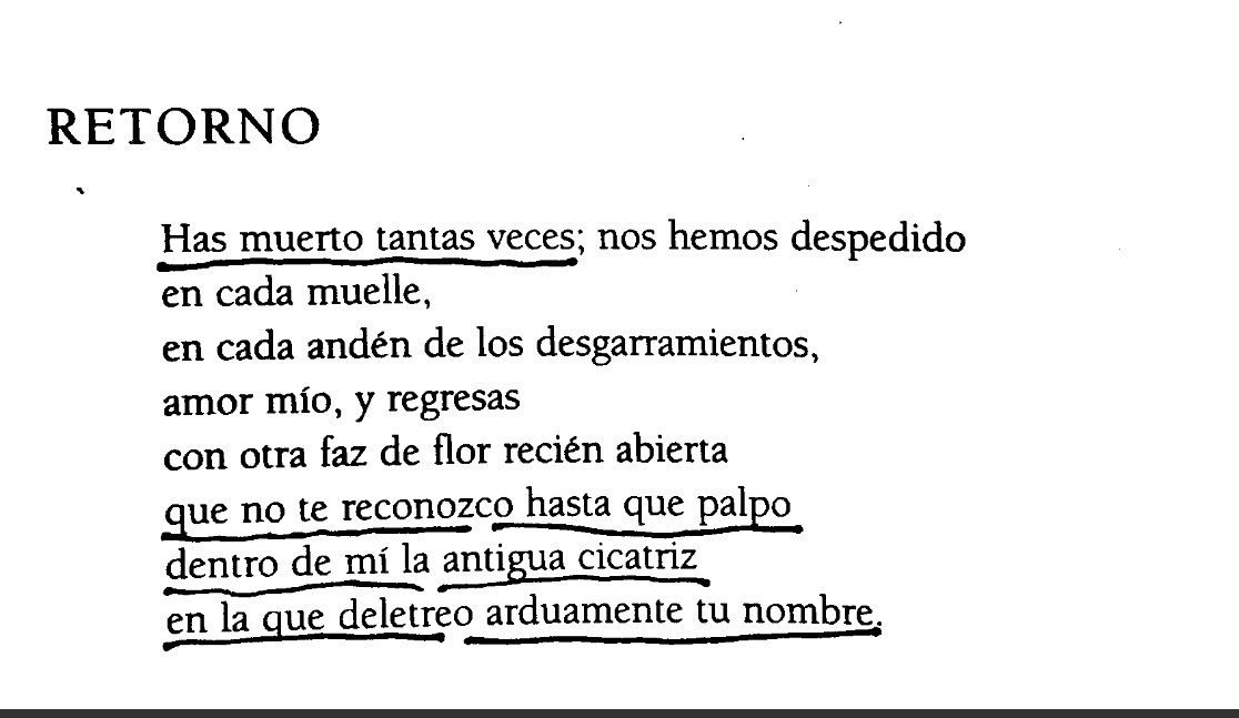 Rosario Castellanos.