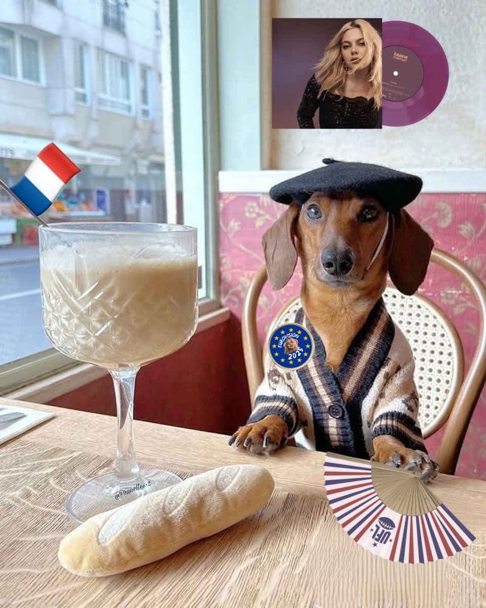 Milou Basset, 45 ans, chef de la délégation Française de l'#Eurovision2025.
#Jobdanimaux