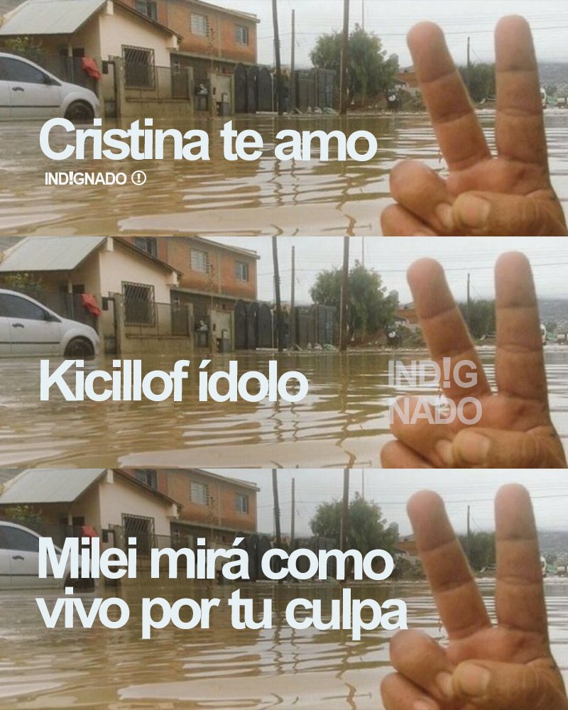 INDIGNADO (@indignadoxd) on Twitter photo 