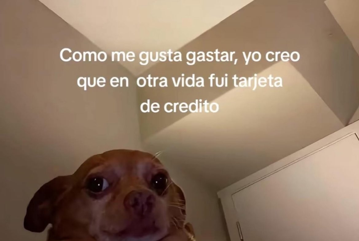 Rolita (@_onerolita) on Twitter photo 