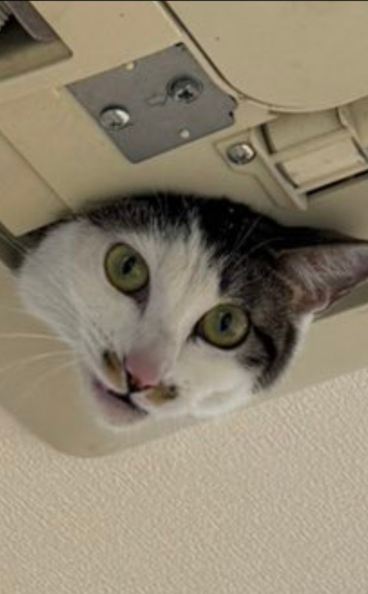 <a href="/FasterIsCooler/">ħ</a> スゲェカメラ目線で草