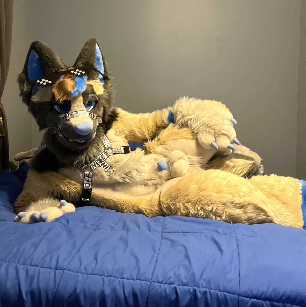 🫐Beat~ BlueberryBitch 💙🔜TFF 🐶 tweet media