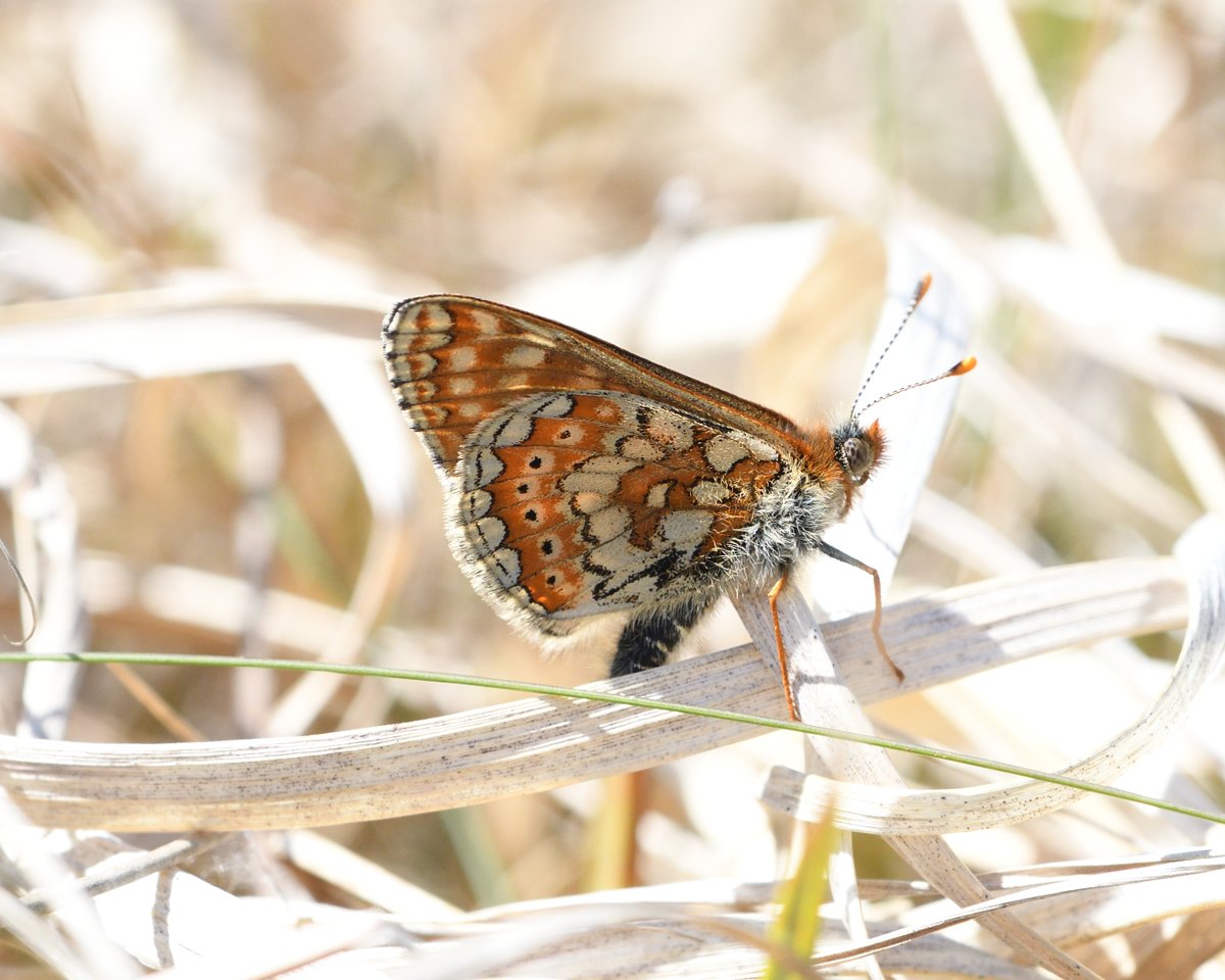 Steph Murphy tweet media