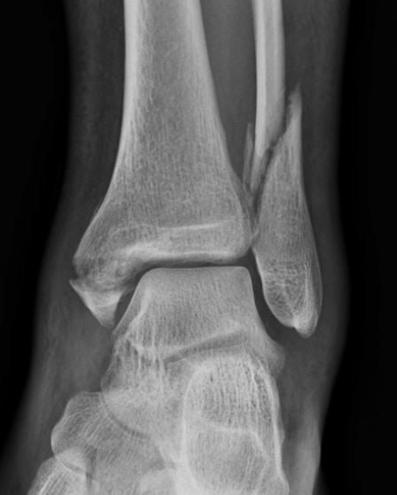 Radiology Masterclass tweet media