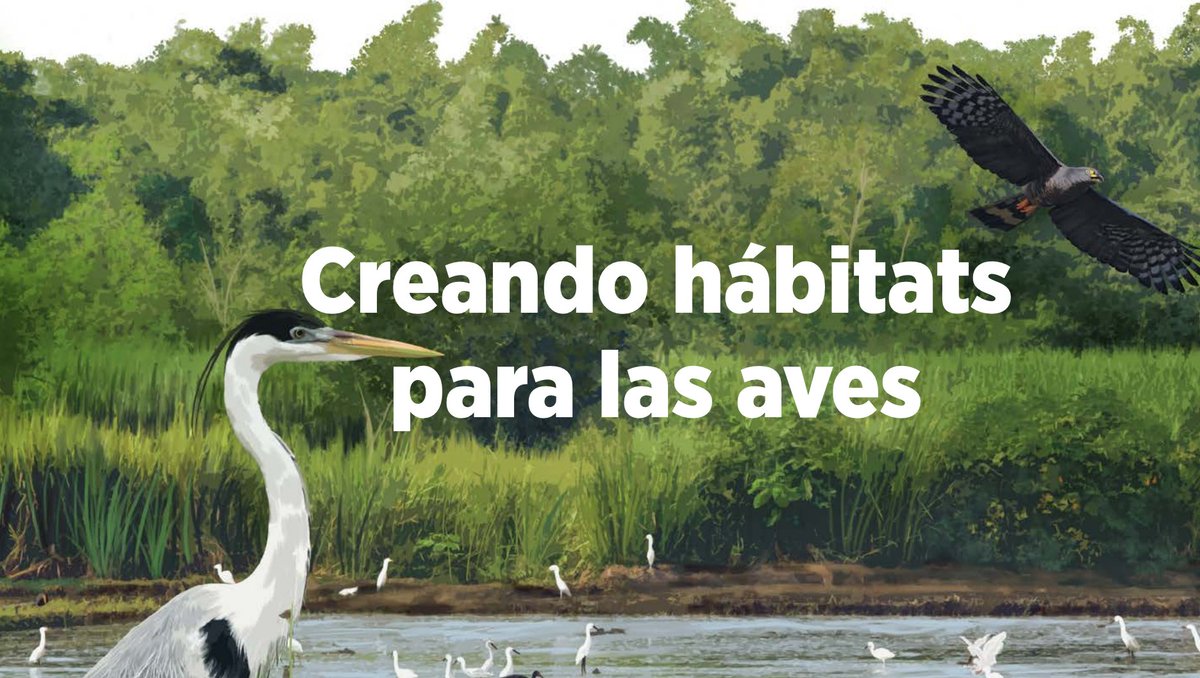 AudubonAmericas's tweet image. Creando Hábitats para las Aves es un #manual práctico, diseñado para productores y técnicos interesados en implementar herramientas de manejo del paisaje. Este documento, fruto de la colaboración entre Audubon y el Servicio de Pesca y Vida Silvestre de los EE.UU., ofrece una