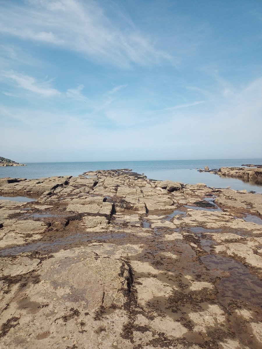 bacintime1979's tweet photo. 📷🌊 #Rockpool #Photos https://t.co/A6OCjl0WY7
