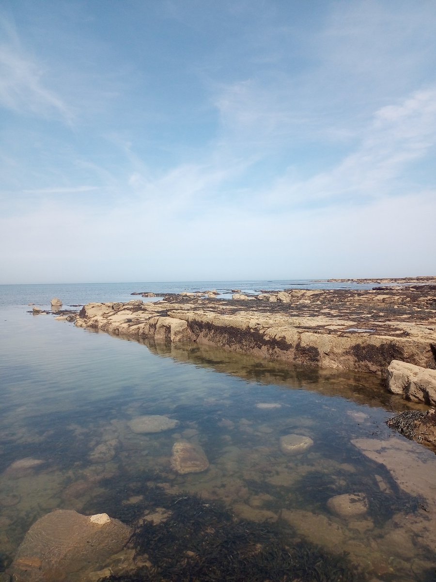 bacintime1979's tweet photo. 📷🌊 #Rockpool #Photos https://t.co/A6OCjl0WY7