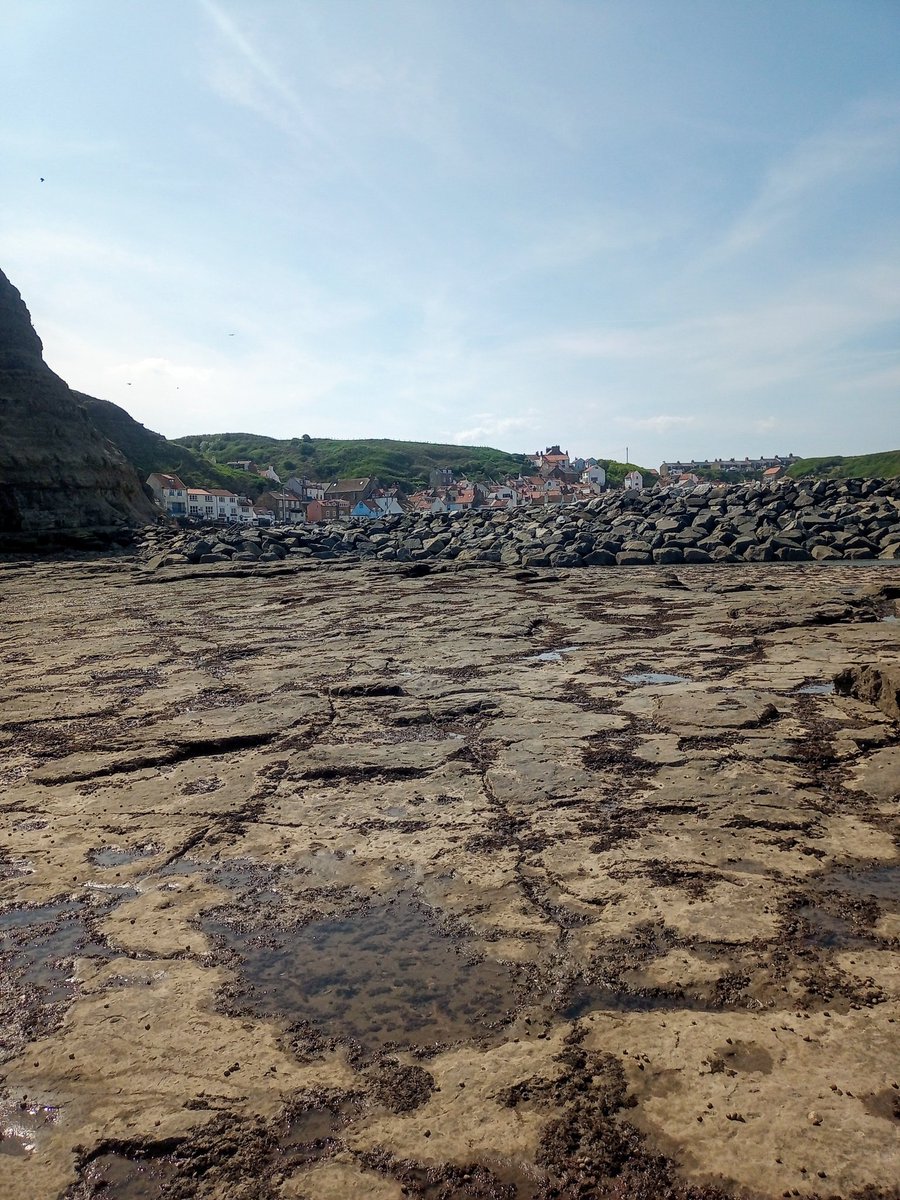 bacintime1979's tweet photo. 📷🌊 #Rockpool #Photos https://t.co/A6OCjl0WY7