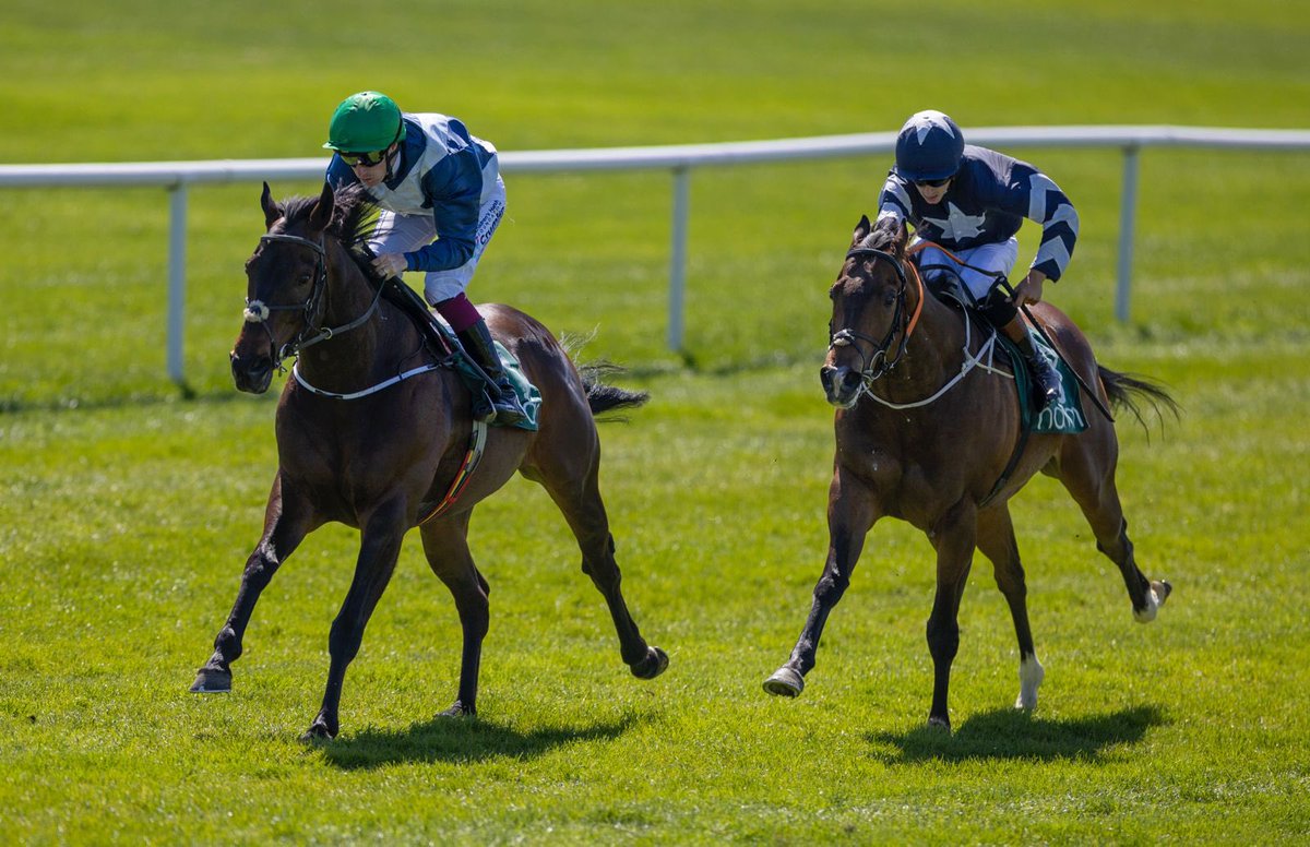 The Highway Rat 🚀

Takes our fourth race for team <a href="/A_ORacing/">AndyOliverRacing</a> &amp; <a href="/wjlee24786/">Billy Lee</a> 🙌

Congratulations to all winning connections!