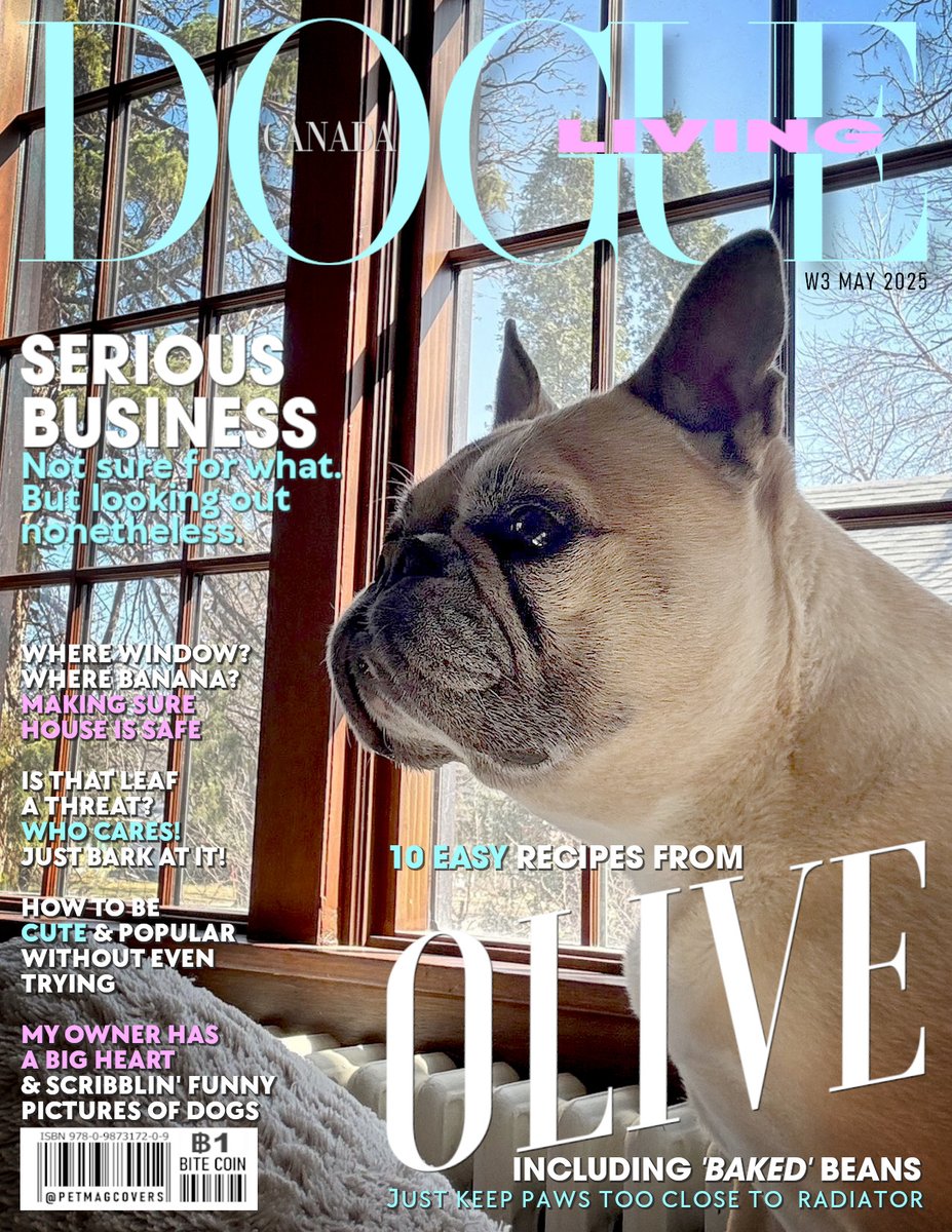 PetMagCovers's tweet photo. This week, on the cover of DOGUE Magazine: Olive @JohnHeim
With interesting articles like: IS THAT LEAF A TREATH?
Plus: "My Owner has a big heart" - Interview about John Heim
Also: 10 Easy Recipes, including "baked" beans for breakfast.
#Pet #magazine #Cover #frenchbulldog https://t.co/MW1HBkb61v