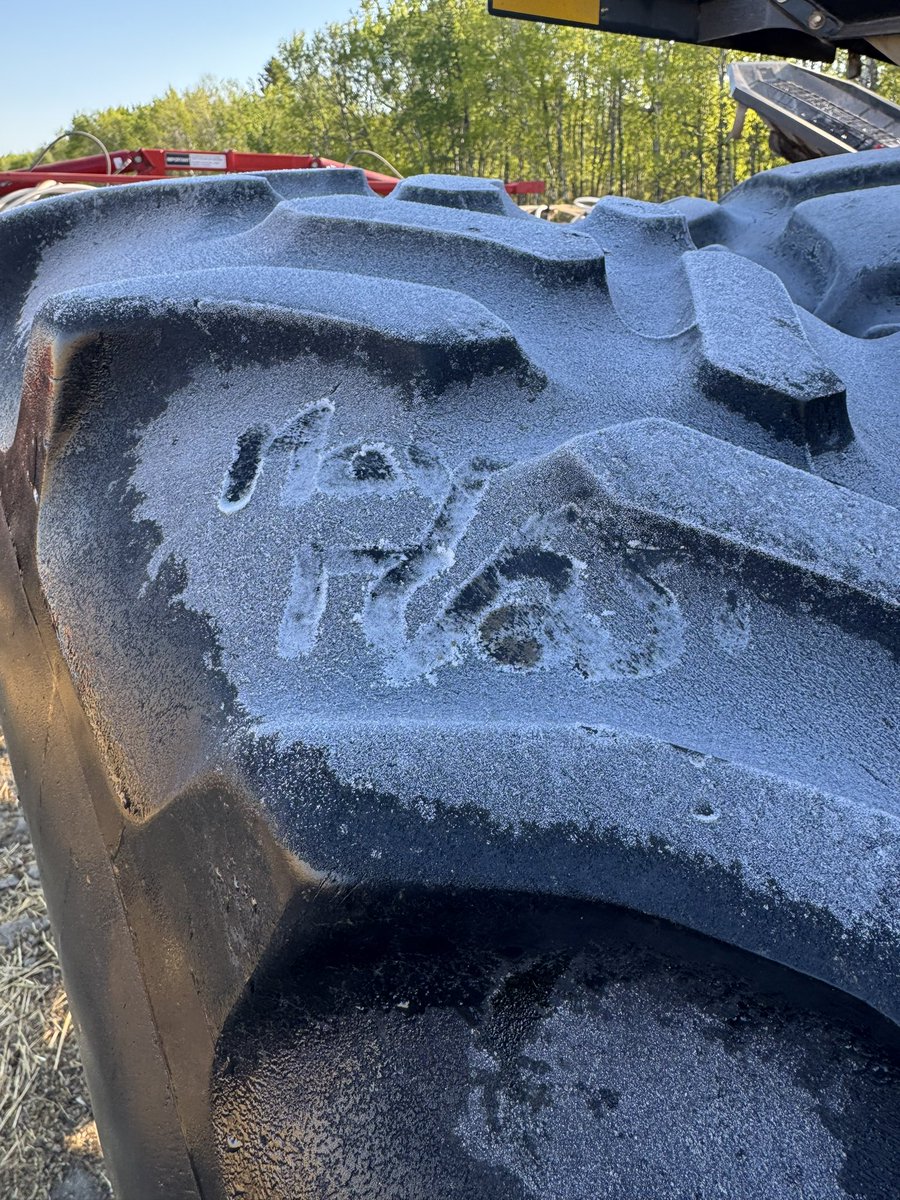 Got a little crispy last night. -3 C in town