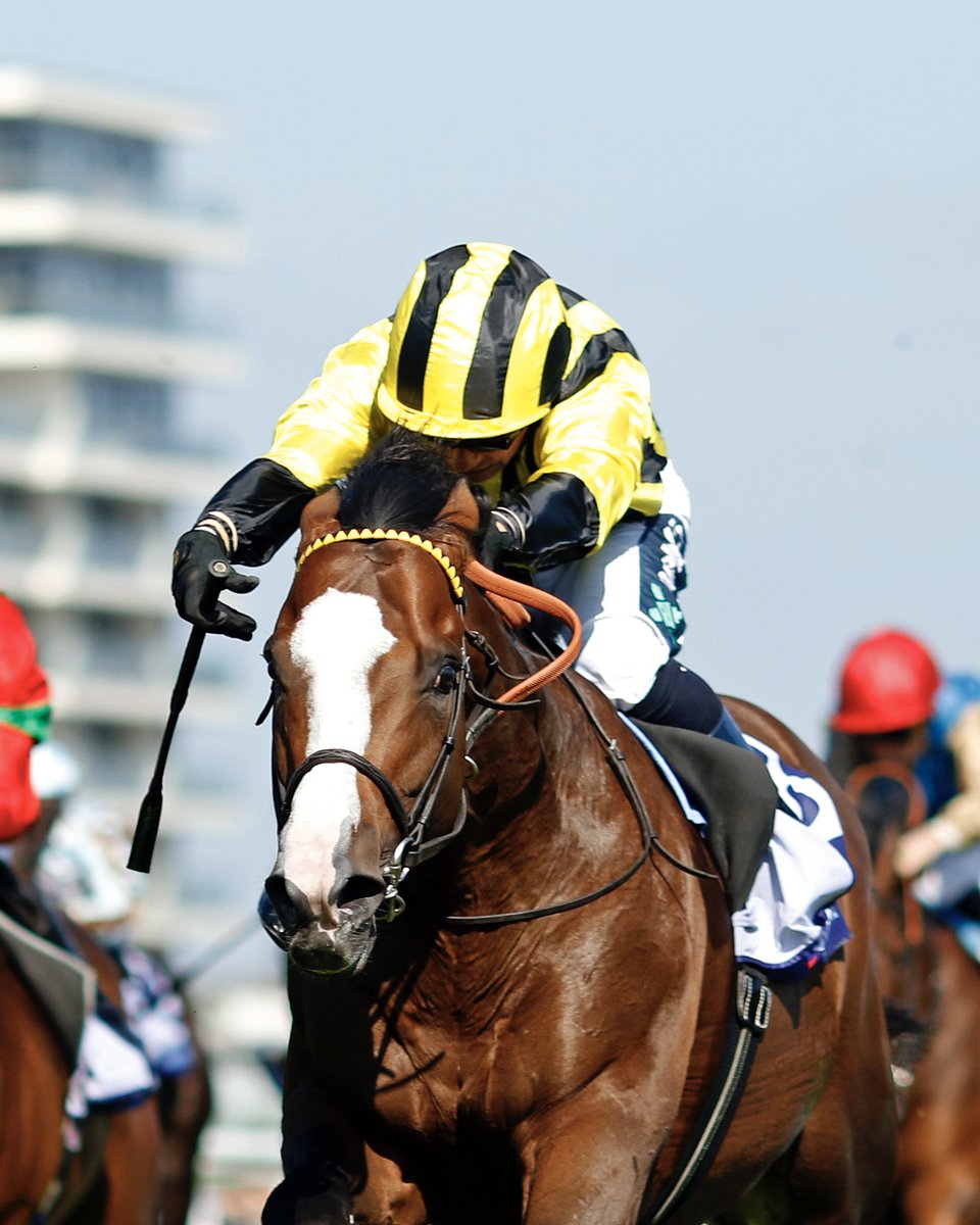 KHK Racing (@khk_racing) on Twitter photo โ๏ธ MY CLOUD
Our half-brother to Palace Pier backs up his winning form <a href="/NewburyRacing/">Newbury Racecourse</a> ๐
<a href="/varianstable/">Roger Varian</a> | <a href="/SilvDSousa/">Silvestre de Sousa</a> โ๏ธ MY CLOUD
Our half-brother to Palace Pier backs up his winning form <a href="/NewburyRacing/">Newbury Racecourse</a> ๐
<a href="/varianstable/">Roger Varian</a> | <a href="/SilvDSousa/">Silvestre de Sousa</a>