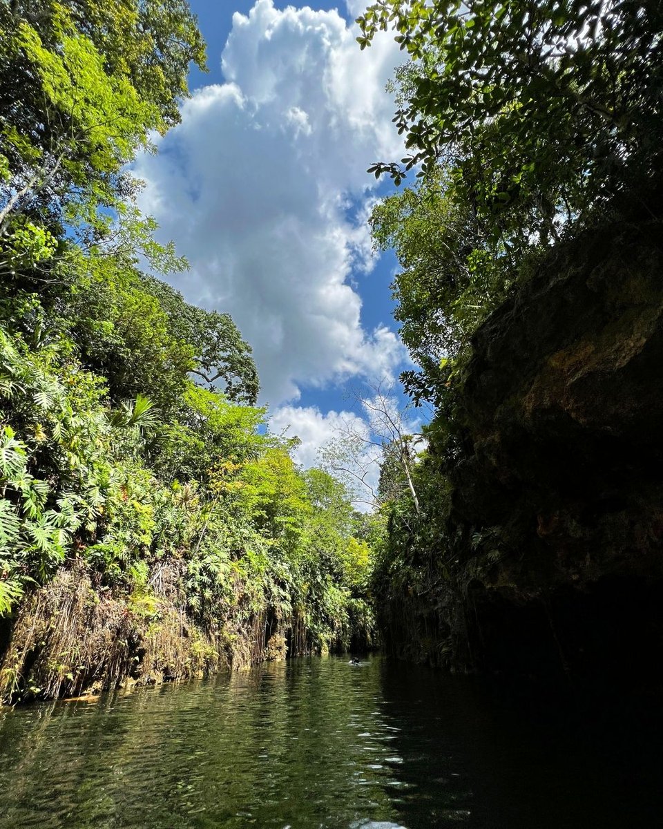 #Xorry if the paths surprise you. 🌿