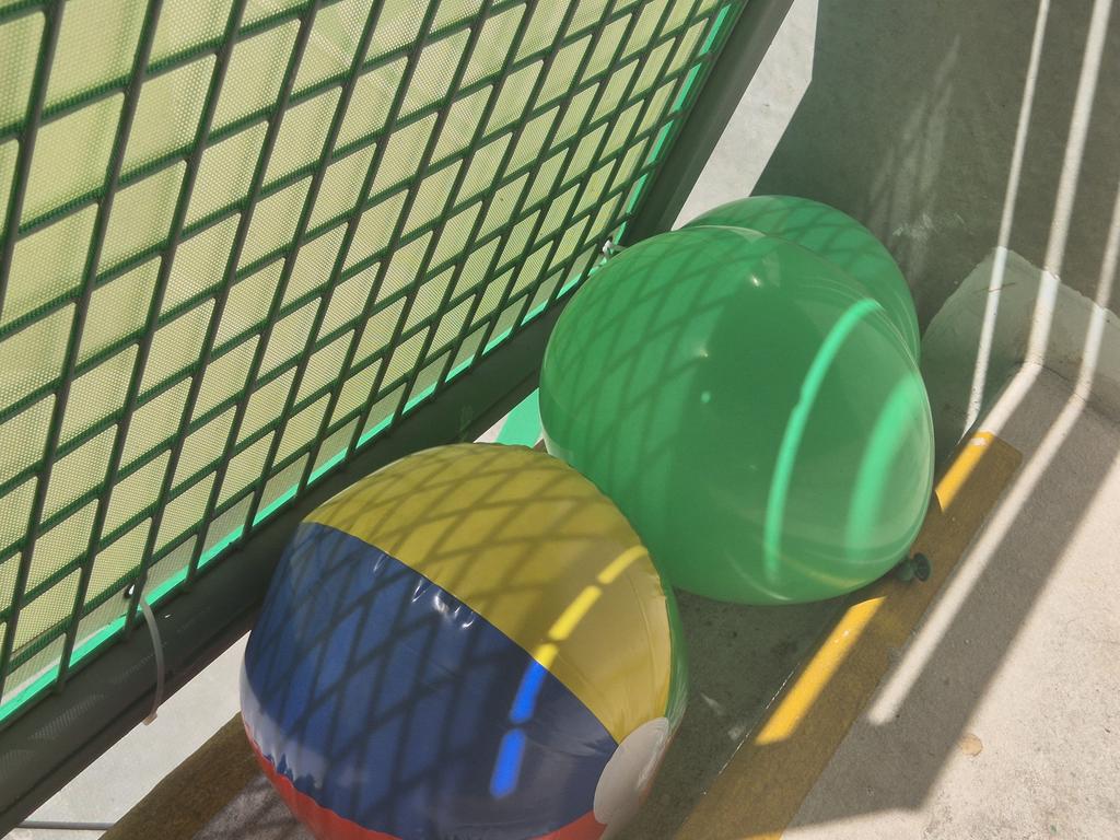 HibeesBounce (@hibeesbounce) on Twitter photo 