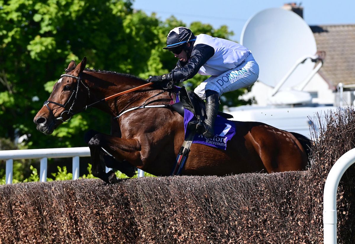 Tattersalls Ireland (@tattersalls_ie) on Twitter photo The classy Aspire Tower will head into the May Point-to-Point & HIT Sale on the back of a novice chase victory <a href="/WexfordRacecour/">Wexford Racecourse</a> today.
The 142-rated dual purpose performer and dual Gr2 winner will be one of the headline acts in the HIT section.
✍️ Entries remain open for the The classy Aspire Tower will head into the May Point-to-Point & HIT Sale on the back of a novice chase victory <a href="/WexfordRacecour/">Wexford Racecourse</a> today.
The 142-rated dual purpose performer and dual Gr2 winner will be one of the headline acts in the HIT section.
✍️ Entries remain open for the