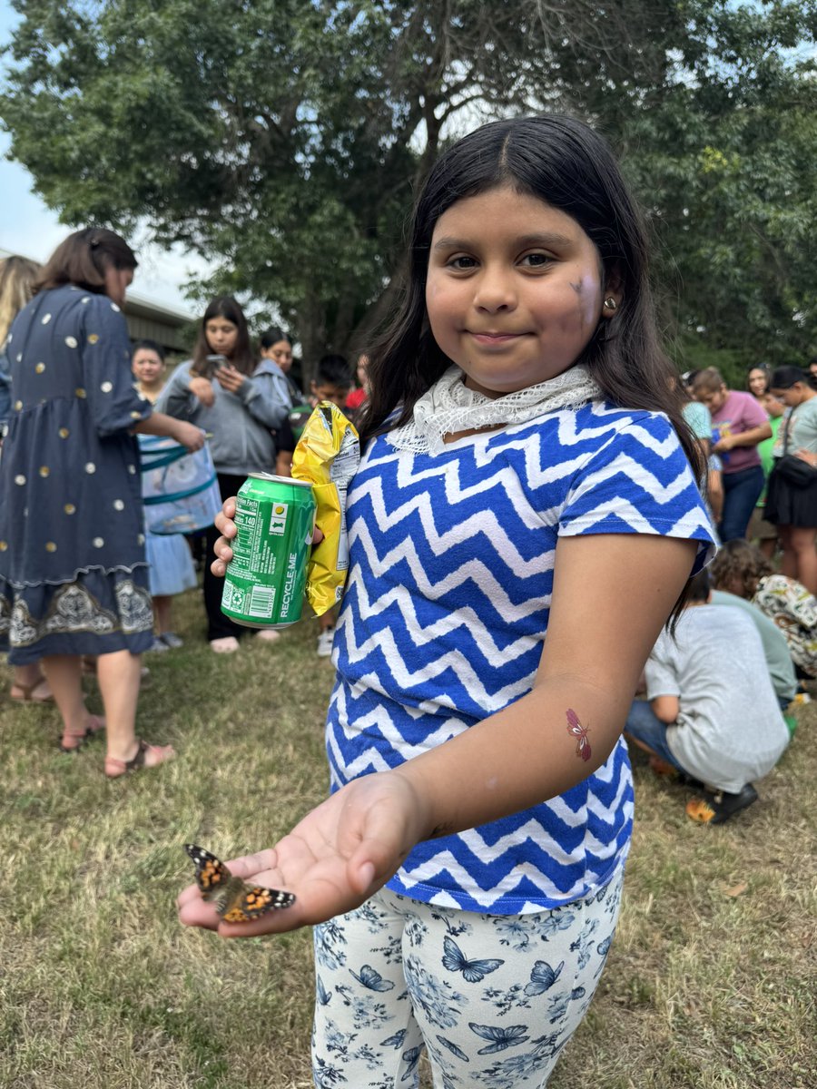 plumcreekelem's tweet image. Butterfly release was a huge success! Our 4th graders have been learning about the life cycle of butterfly and saw the process come to life today 🐛 🦋 thank you to our amazing 4th grade team for organizing this event! #GoingForGold #PCEPROUD