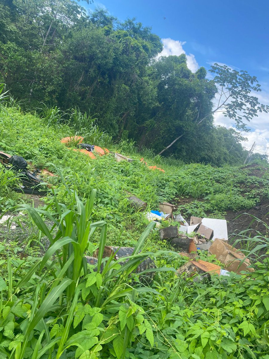 MareaVerde_PA's tweet image. Vecinos nos alertan de un botadero ilegal, personas arrojando basura y caliche a escasos metros pasando Wanda en Rio Juan Diaz. Estos actos dañan nuestro ambiente y no es el #Panamá que queremos. Solicitamos a las autoridades investigar y sancionar estas acciones.