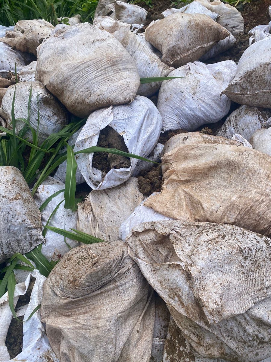 MareaVerde_PA's tweet image. Vecinos nos alertan de un botadero ilegal, personas arrojando basura y caliche a escasos metros pasando Wanda en Rio Juan Diaz. Estos actos dañan nuestro ambiente y no es el #Panamá que queremos. Solicitamos a las autoridades investigar y sancionar estas acciones.