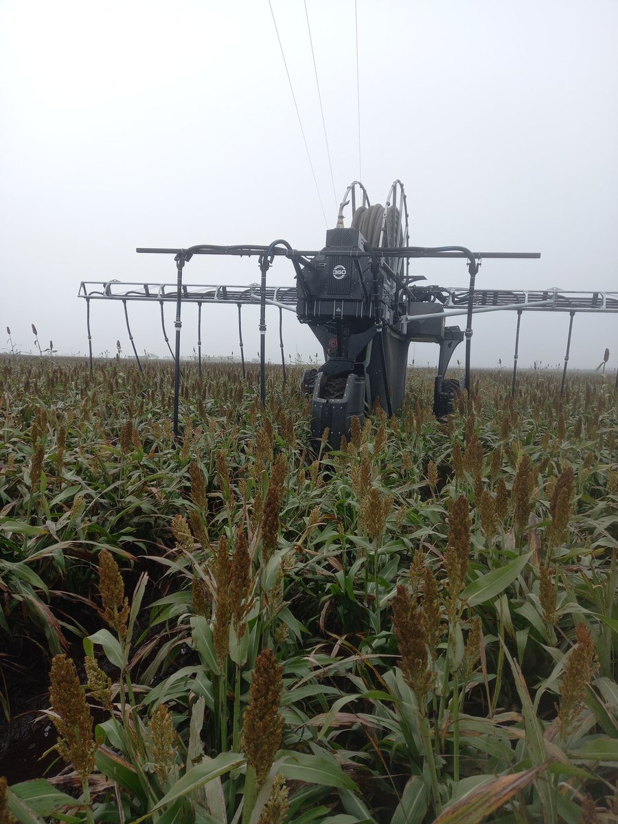 Visita a BiodeS, Coronel Suarez con Grupo de Gestión Ambiental en Feedlots #economiacircular