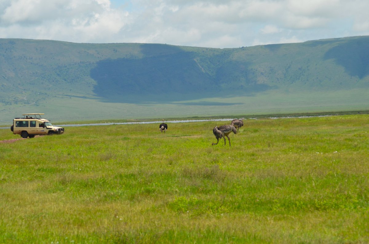 Kusini Tours tweet media