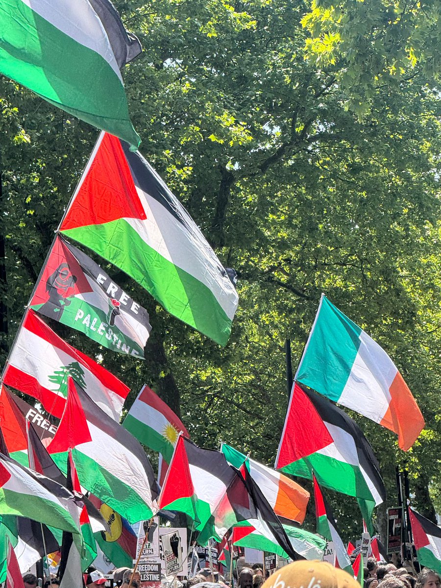I was deeply honoured to represent Sinn Féin and the Irish people, in joining hundreds of thousands of people in London today to voice our support and solidarity with the Palestinian people. 

Now, more than ever, they need us to stand up for them 💔

Free Palestine 🇵🇸