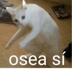 GustavoRocMtz's tweet image. #ULTIMAHORA 
Pobre @ChapoyPati  el dientes de burro la trae de su taruga. Aaajajajajajajajajajaj 
#EleccionesPoderJudicial