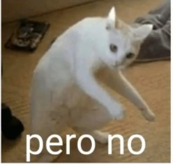 GustavoRocMtz's tweet image. #ULTIMAHORA 
Pobre @ChapoyPati  el dientes de burro la trae de su taruga. Aaajajajajajajajajajaj 
#EleccionesPoderJudicial