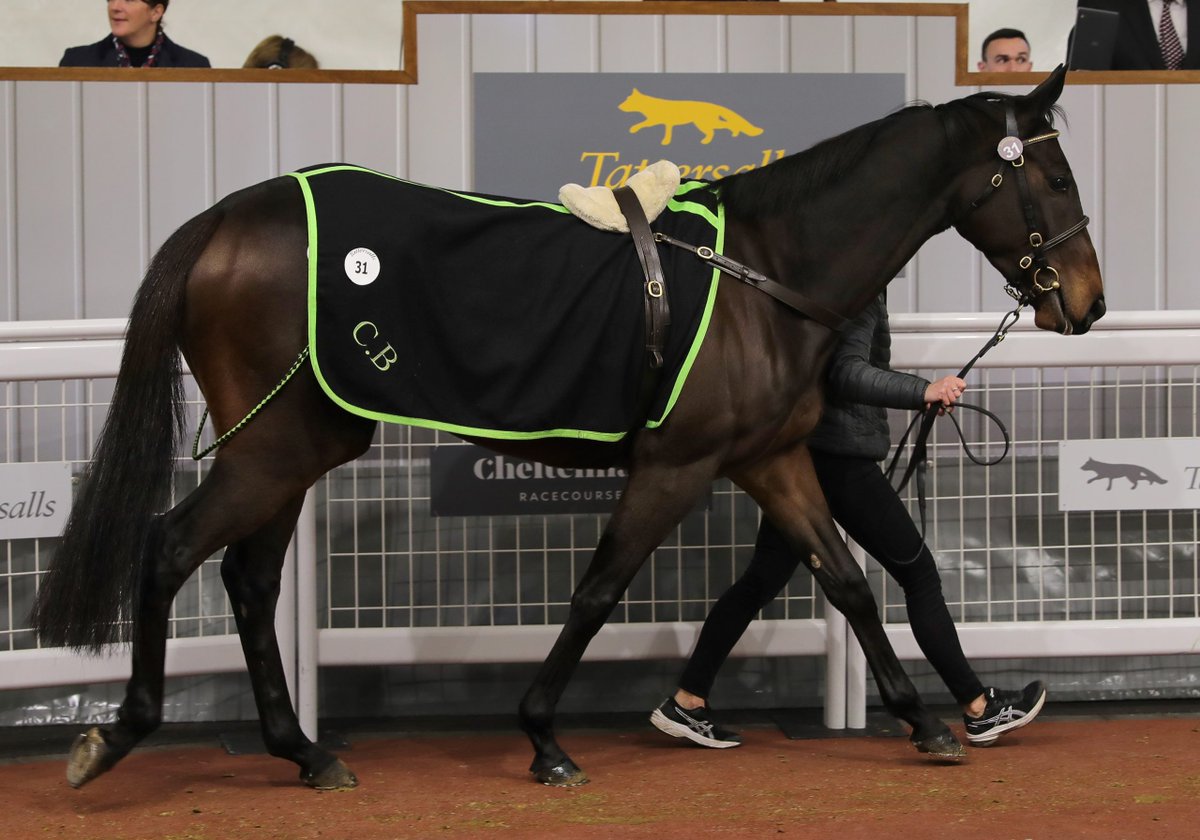 Tattersalls Cheltenham (@tattscheltenham) on Twitter photo The 🇮🇪 P2P wnr Soldier In May comes home in front on his novices h'cap hurdle debut <a href="/BangorRaces/">bangorraces</a> for trainer Donald McCain
<a href="/RacingPost/">Racing Post</a> "He's got more to offer and, as a point winner, should stay further.
#CheltenhamNovember 2024
<a href="/colinboweracing/">Colin Bowe Racing</a> ➡️ Jimmy Fyffe / The 🇮🇪 P2P wnr Soldier In May comes home in front on his novices h'cap hurdle debut <a href="/BangorRaces/">bangorraces</a> for trainer Donald McCain
<a href="/RacingPost/">Racing Post</a> "He's got more to offer and, as a point winner, should stay further.
#CheltenhamNovember 2024
<a href="/colinboweracing/">Colin Bowe Racing</a> ➡️ Jimmy Fyffe /