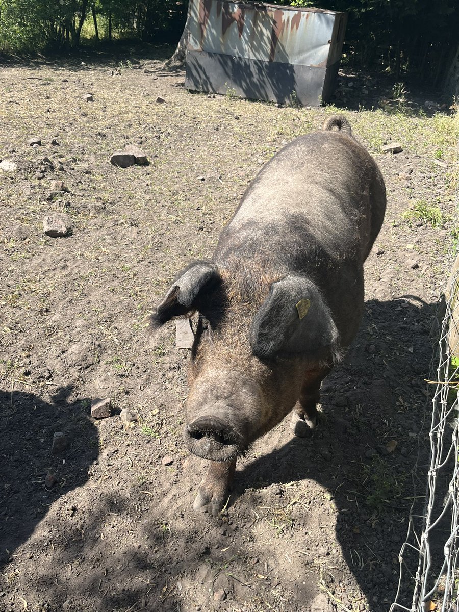 Simon Eardley tweet media