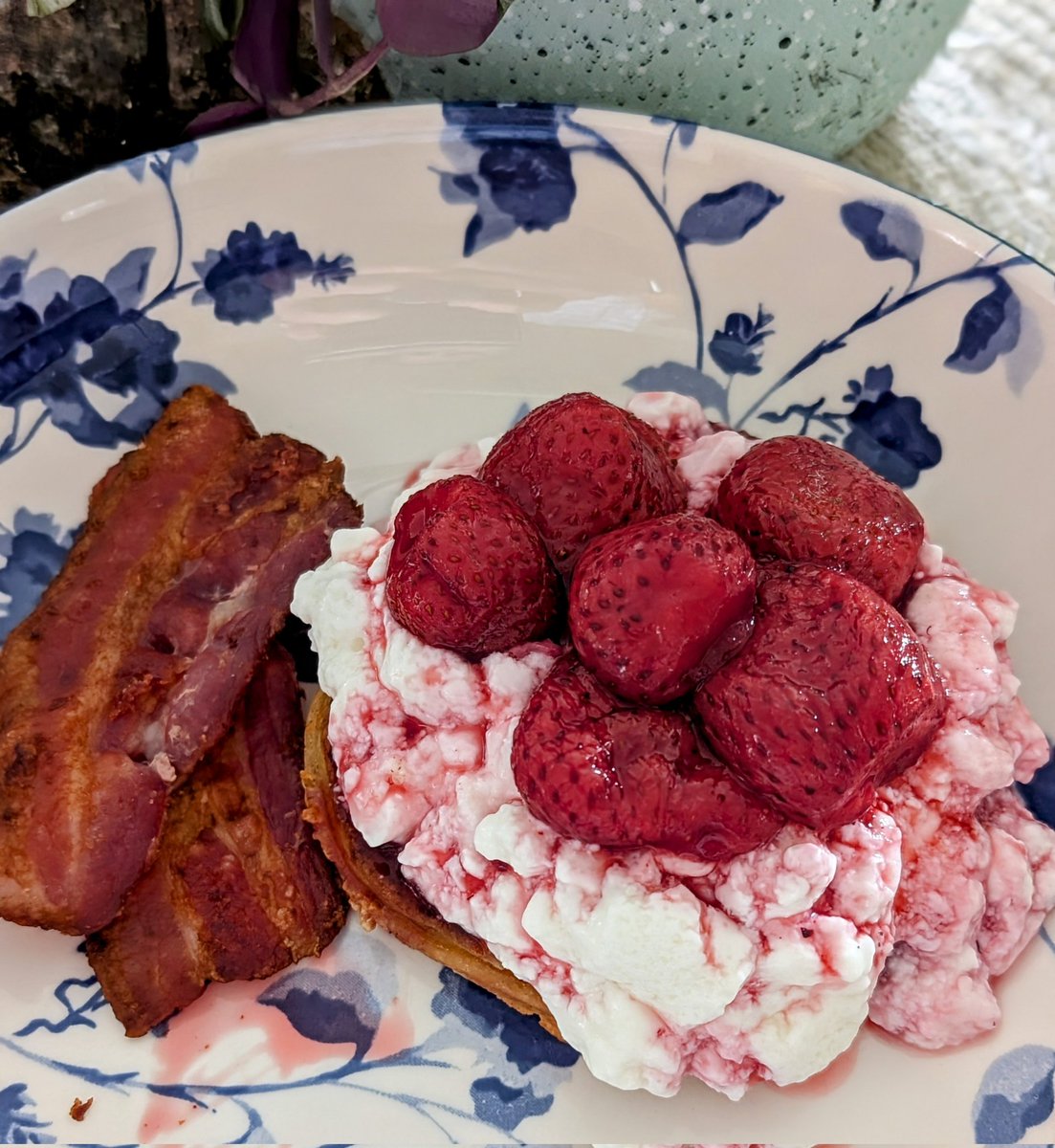 YogaMalas's tweet photo. Saturday first meal: Homemade protein chaffle, cottage cheese, strawberries juicy from the freezer. And of course bacon!
Enjoy your Saturday everyone! 😊
#keto #ketovote #chaffle #ketodiet #cottagecheese https://t.co/FxClVHwSPe