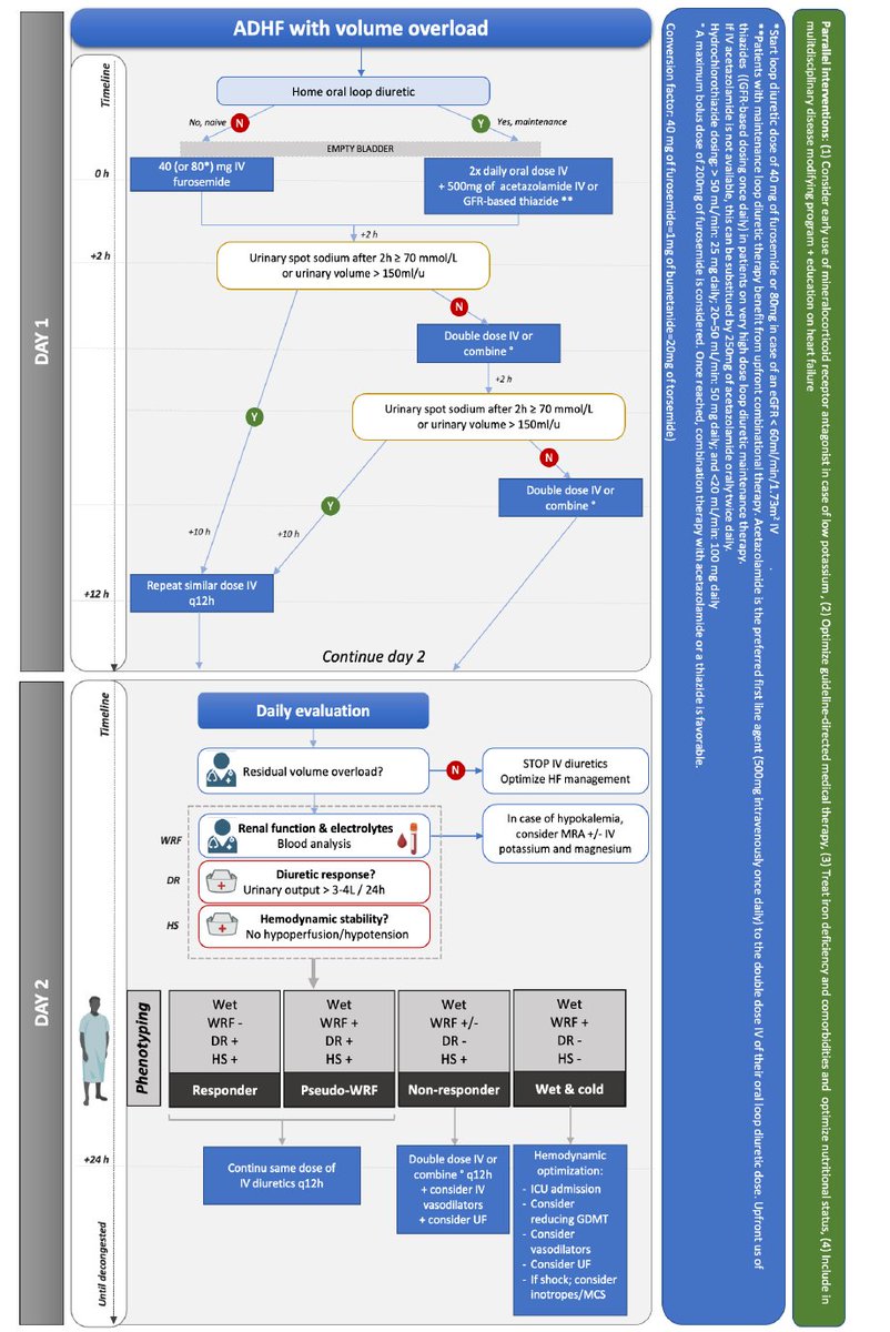 ESC 2025: Sodio urinario: ¿La clave para una titulación diurética eficaz? Documento de consenso de expertos 
doi:10.1002/ejhf.3632
#MedEd #MedTwitter #MedX