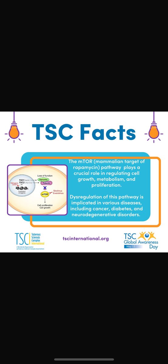 <a href="/lillyvonschtupp/">Mike Masterson</a> <a href="/LauraenrightTSC/">Laura Enright</a> <a href="/clairebehan/">Claire Behan (O'Rourke)</a>