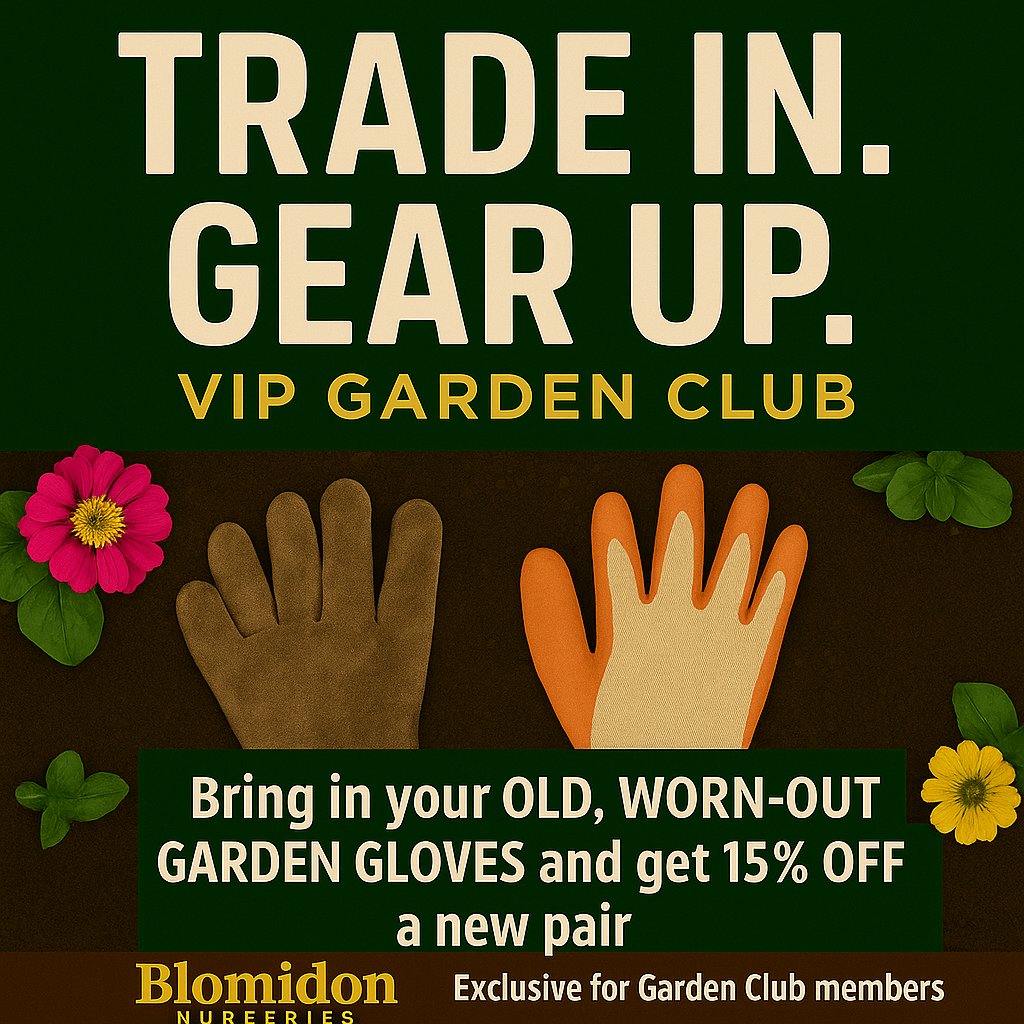 🌿 VIP Members – It’s Time to Trade Up! 🌿
Turn in your old, worn-out garden gloves (from any store) and get 15% OFF a brand-new pair at Blomidon Nurseries! 🧤✨

♻️ Let’s garden greener, together.